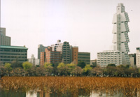 Sofitel Hotel and Shinobazu Pond