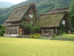 "Gassho-Zukuri" Farmhouses