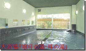 Indoor Hot Spring Bath at Kawamura