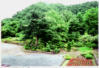 Garden at Ryokan Kujakuso