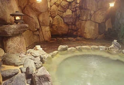 Shared Indoor Hot Spring Rock Bath at Kosenkaku
