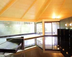 Shared Indoor Hot Spring Bath at Kosenkaku
