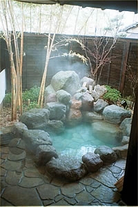 Hot Spring Bath at Mikasaya