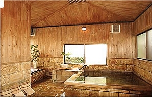 Shared Indoor Hot Spring Bath at Yumesaki