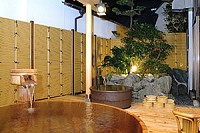 Shared Hot Spring Bath at Kowakuen
