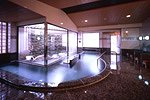 Men's Indoor Hot Spring Bath at Onsenji Yumedono Ryokan