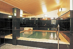 Shared Indoor Hot Spring Bath at Yamagishi Ryokan