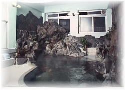 Men's Indoor Hot Spring Bath at Motoyu-Arimaya