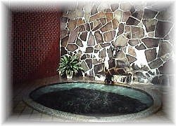 Women's Indoor Hot Spring Bath at Motoyu-Arimaya