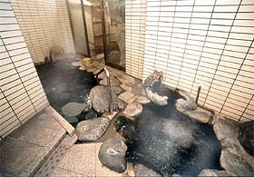 Indoor Hot Spring Bath at Izumiso