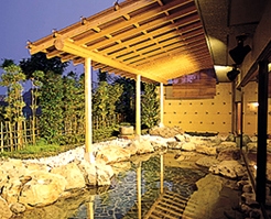 Shared Outdoor Hot Spring Bath at Mizunowo