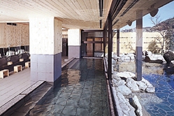 Indoor Hot Spring Bath at Mizunowo
