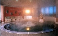 Shared Hot Spring Bath at Minakami Fujiya Hotel