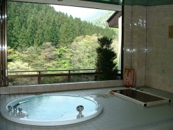 Reserved Hot Spring Bath