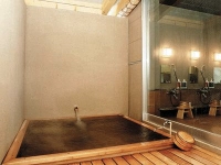 Indoor Hot Spring Bath at Ichinomatsu