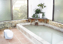 Shared Hot Spring Bath at Fuji-Hakone Guest House
