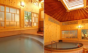 Women's Indoor Hot Spring Bath at Mikawaya Ryokan