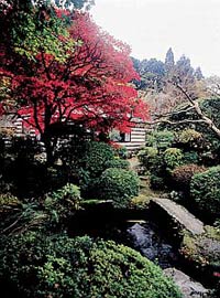 Japanese Garden at Senkyoro