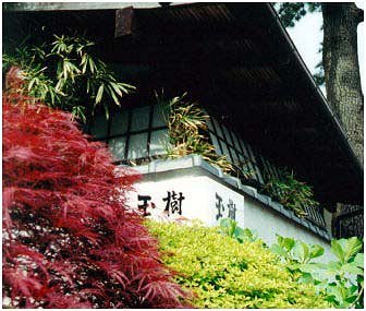 Foliage Outside of Tamaki