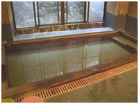 Indoor Hot Spring Bath at Tamaki