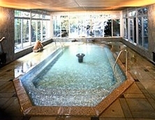 Indoor Hot Spring Bath at Tenseien