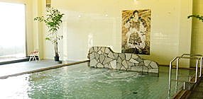 Indoor Hot Spring Bath at Umemaru Ryokan