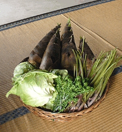 Fresh Vegetables at Denjiro