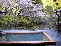 Outdoor Hot Spring Bath