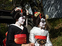 Travelers in Maiko Costume