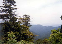 Mt Koya