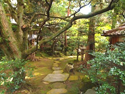Japanese Garden in Summer