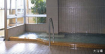 Hot Spring Bath at Suzukaso