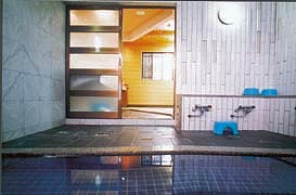 Shared Hot Spring Bath at Tsutaya Ryokan