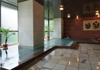 Indoor Hot Spring Bath at Asaya Hotel