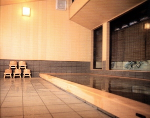 Indoor Hot Spring Bath Made of Hinoki at Gyozanen