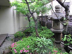 Japanese Garden at Matsui Honkan