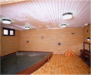 Bath at Tsuruse