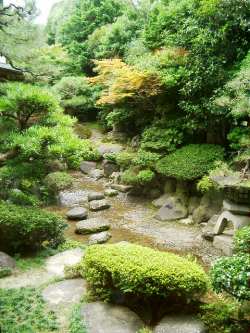 Yachiyo's Japanese Garden