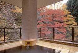 Women's Bath at Ichijo Ryokan