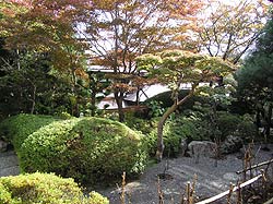 Japanese Garden at Rengejo-in