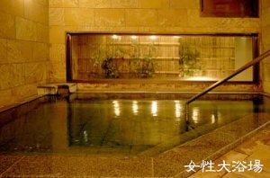 Women's Indoor Bath at Karuizawa-Tsuruya Ryokan