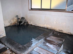 Family Bath at Korakukan Jigokudani