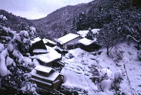 Korakukan Jigokudani in Winter