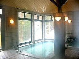Indoor Hot Spring Bath at Nakanoyu Onsen Ryokan
