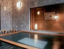 Shared Indoor Hot Spring Bath (Same Gender Only)