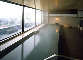 Indoor Hot Spring Bath at Hotel Tsubakino