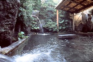 Out Door Hot Spring Bath (Same Sex Only) at Yudanaka Onsen Seifuso 