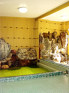 Indoor Bath at Tsuchiya Hotel