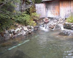 Mixed Outdoor Hot Spring Bath (Both Sexes)