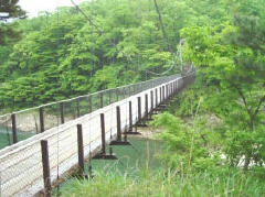 Suspension Bridge Leading to Shikinosato Kikuya